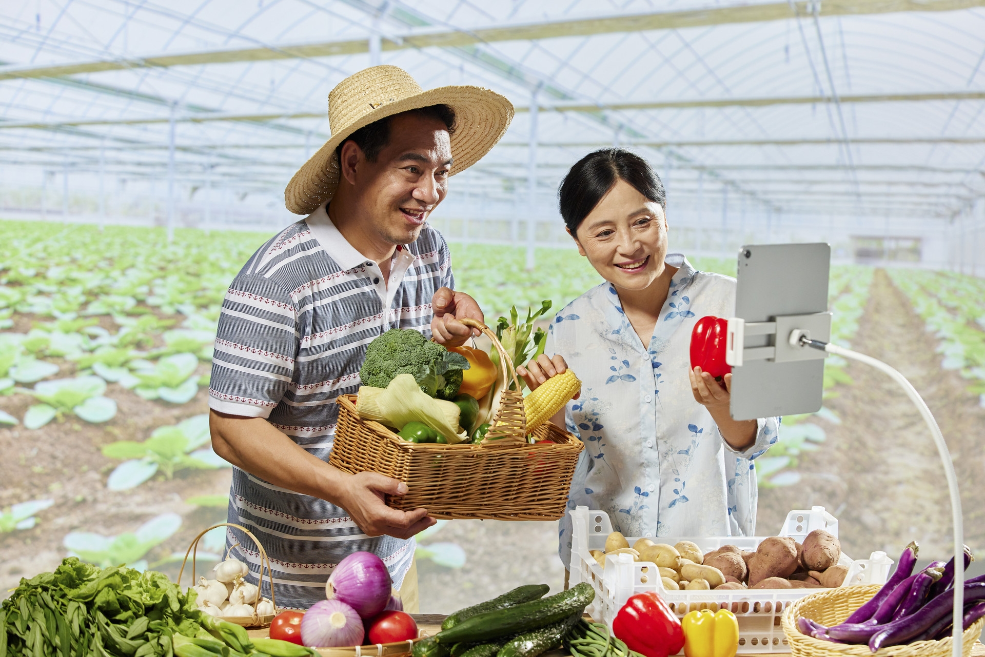 新消費品牌策劃之戰略防御五強化（下）